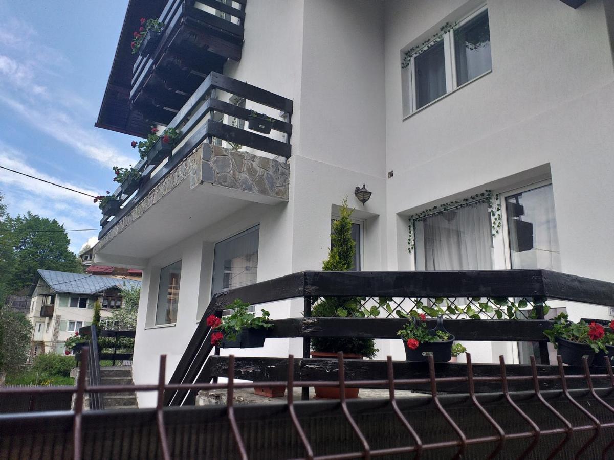 Hotel Miraj Azuga Exterior foto